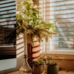 Tips for Creating a Cozy and Productive Home Office Environment